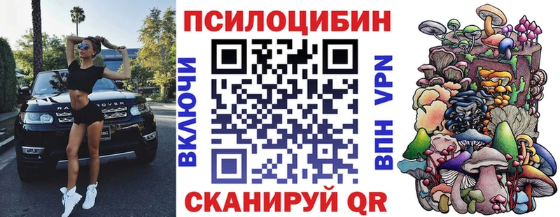 блэк спрут зеркало  Сергач  Псилоцибиновые грибы Psilocybine cubensis 